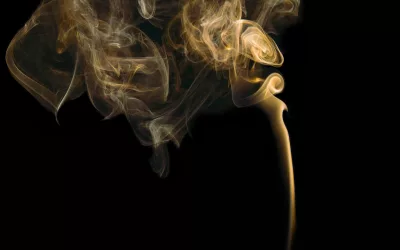 Identification of Odors in your Home, The science of discovering what stinks